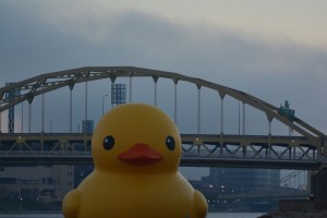 Duck by Bridge