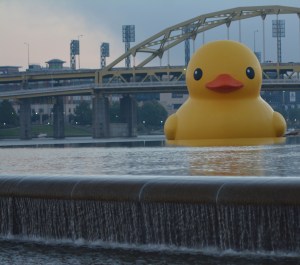 Duck and Fountain at Point