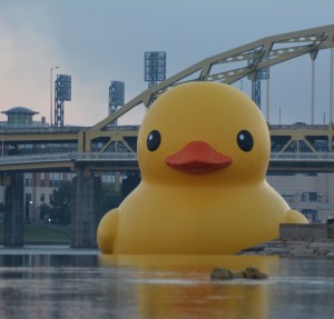 Duck in Endless Water