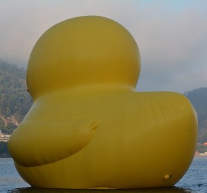 Rubber Duck Tailfeathers