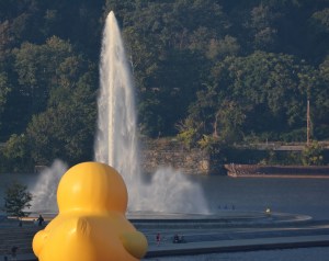Rubber Duck enjoys the Fountain