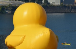 Yellow Duck